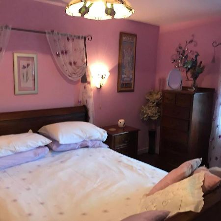 Cosy Cottage For Ecotourism Lovers Near Corwen Exterior foto