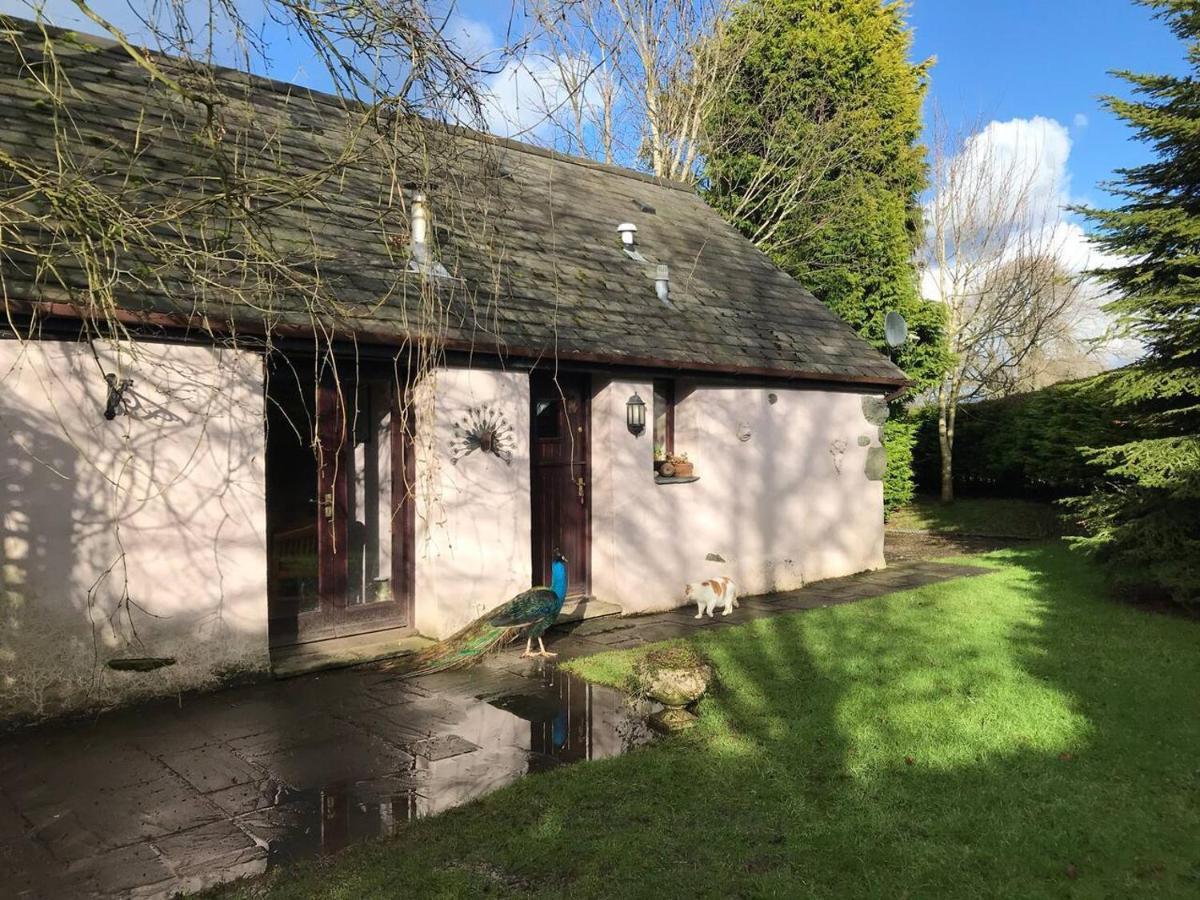 Cosy Cottage For Ecotourism Lovers Near Corwen Exterior foto