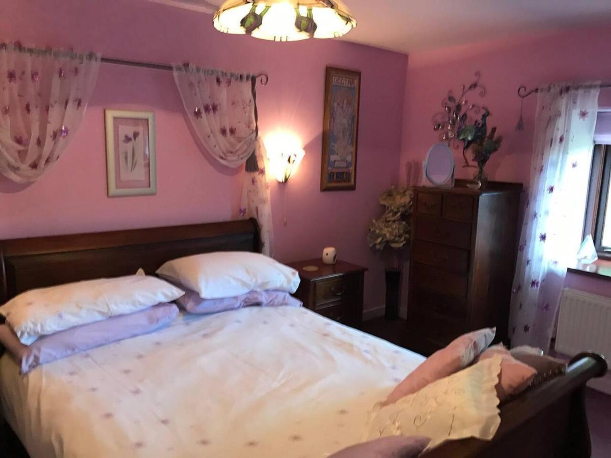 Cosy Cottage For Ecotourism Lovers Near Corwen Exterior foto
