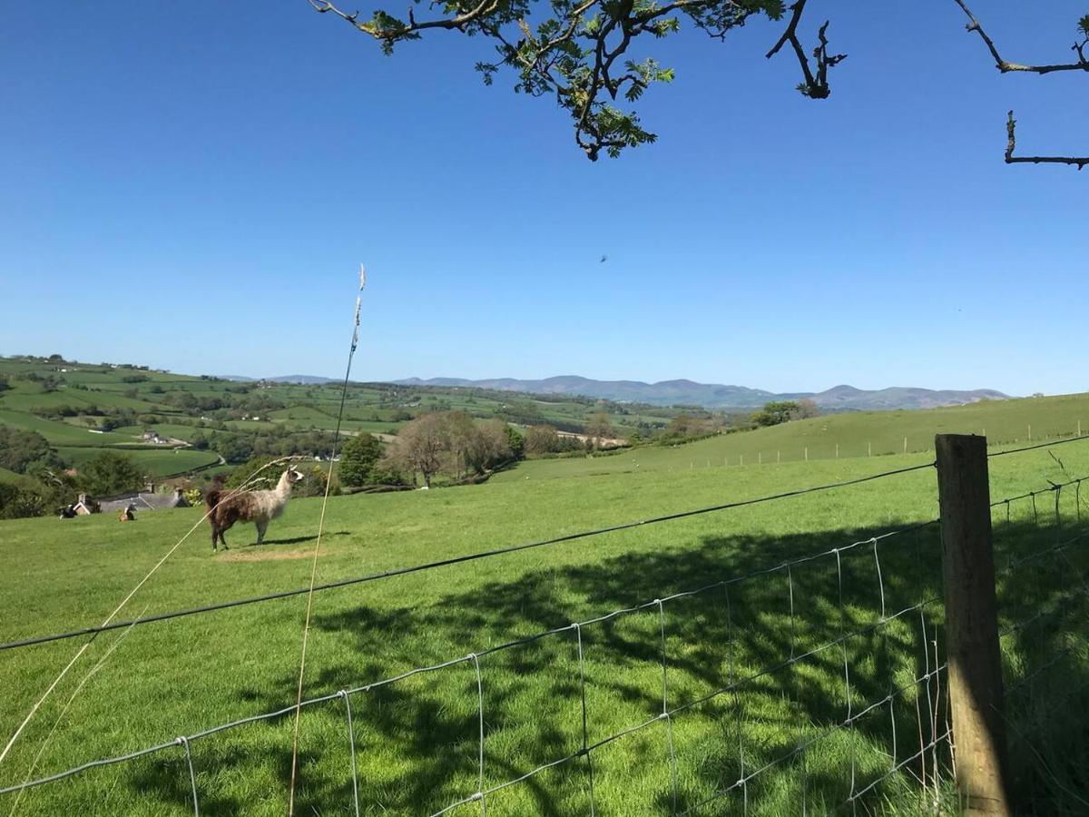Cosy Cottage For Ecotourism Lovers Near Corwen Exterior foto